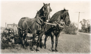 John Farmer Whitwell, horses and farm equipment
